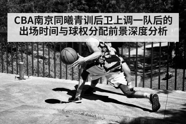 CBA南京同曦青训后卫上调一队后的出场时间与球权分配前景深度分析