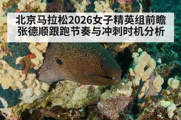 北京马拉松2026女子精英组前瞻 张德顺跟跑节奏与冲刺时机分析